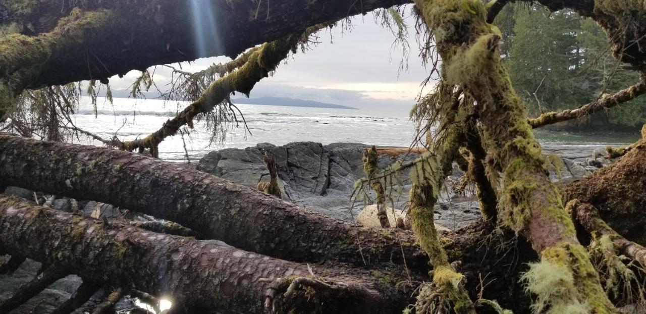 Newfie Seaside Retreat Villa Port Renfrew Exterior foto